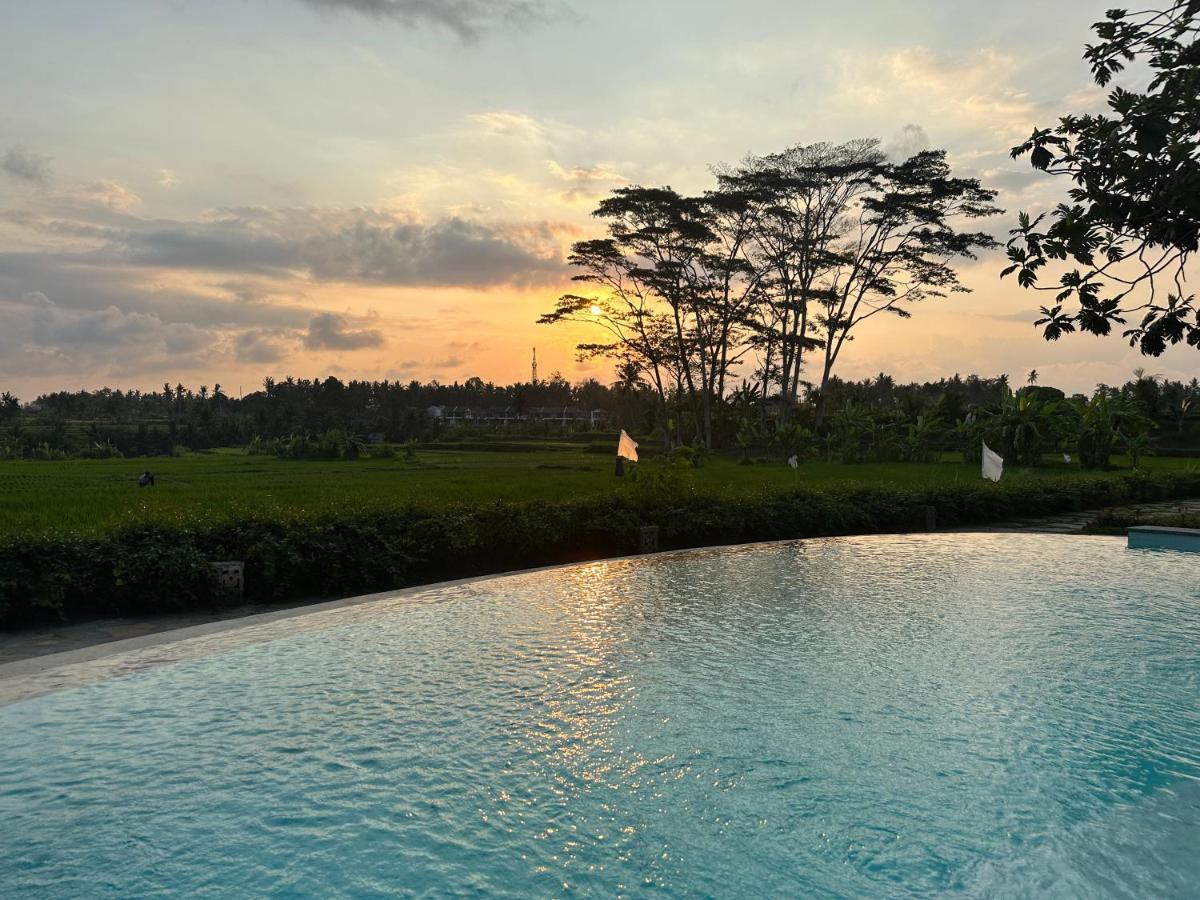 Griya Kcb Villa Ubud Esterno foto