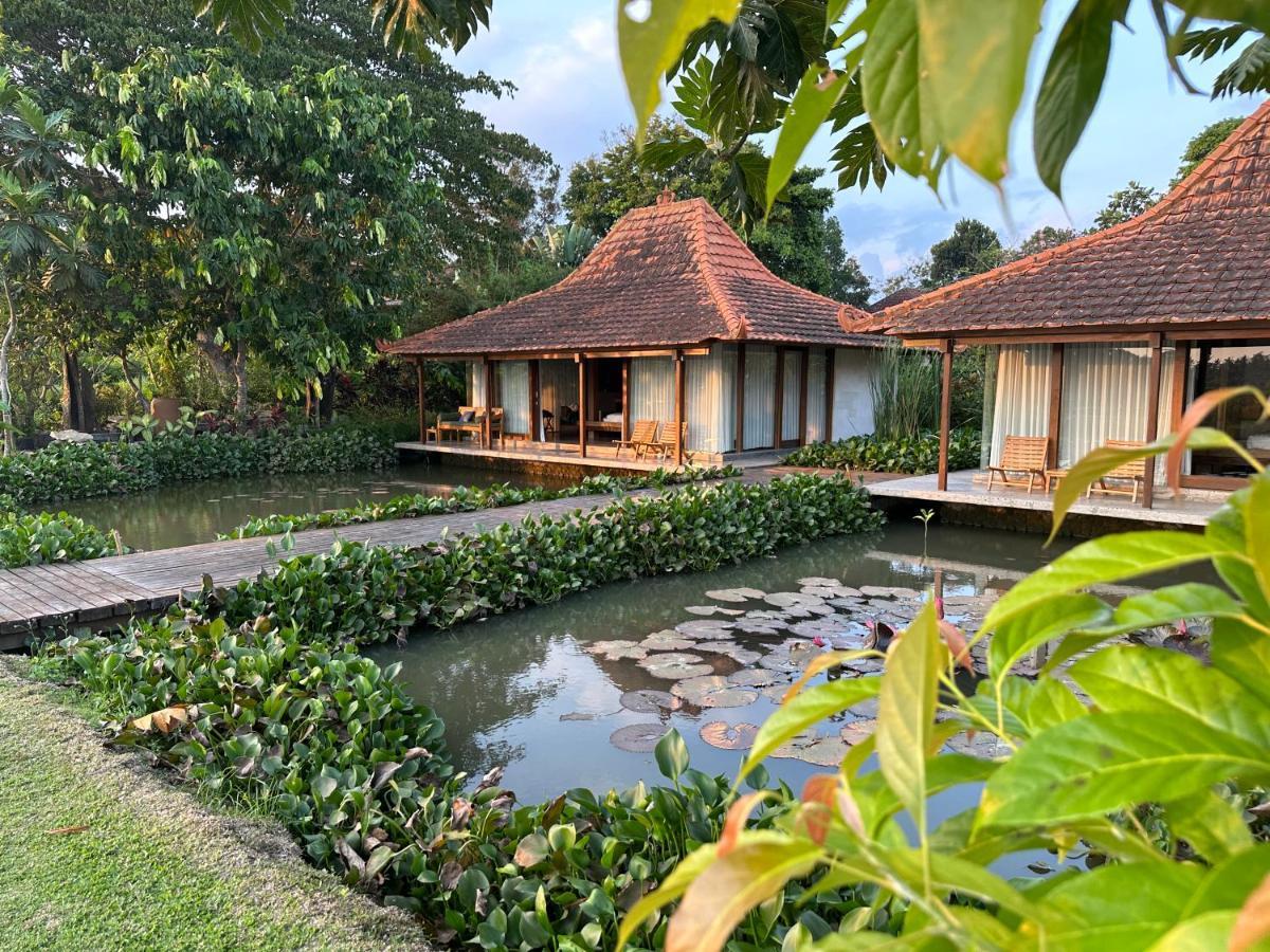 Griya Kcb Villa Ubud Esterno foto