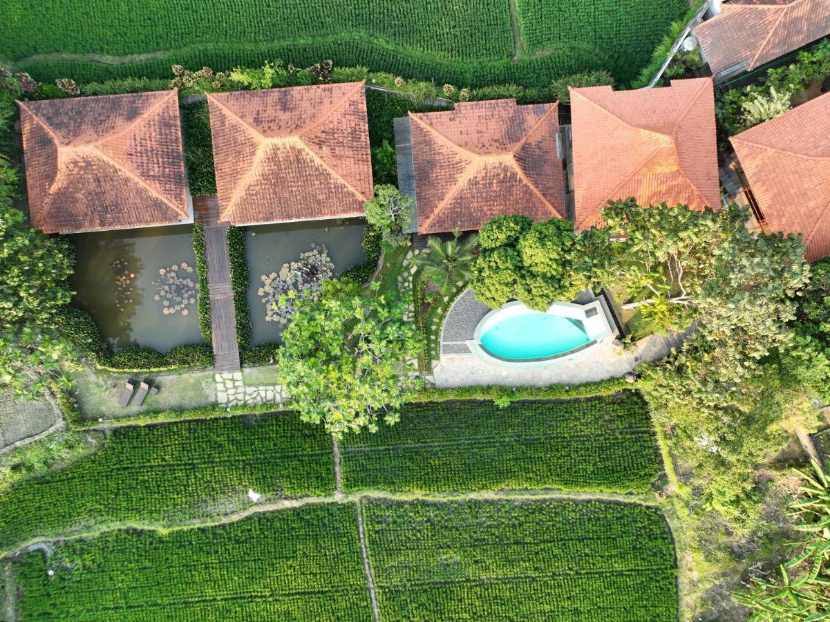Griya Kcb Villa Ubud Esterno foto