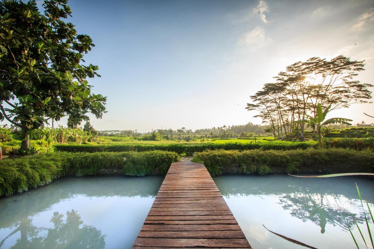Griya Kcb Villa Ubud Esterno foto