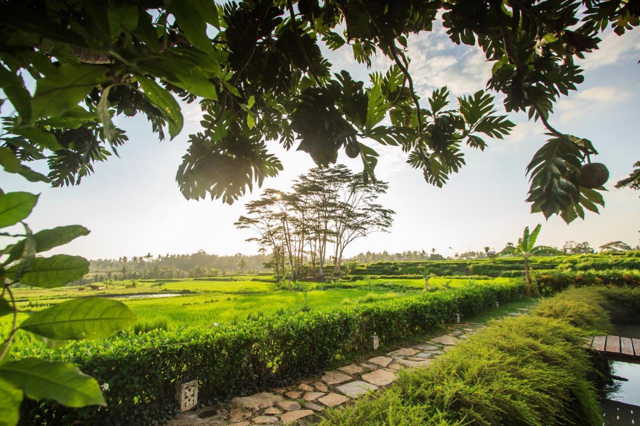 Griya Kcb Villa Ubud Esterno foto