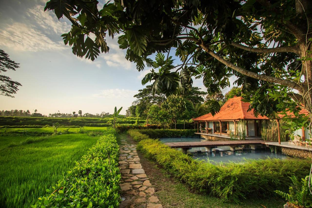 Griya Kcb Villa Ubud Esterno foto