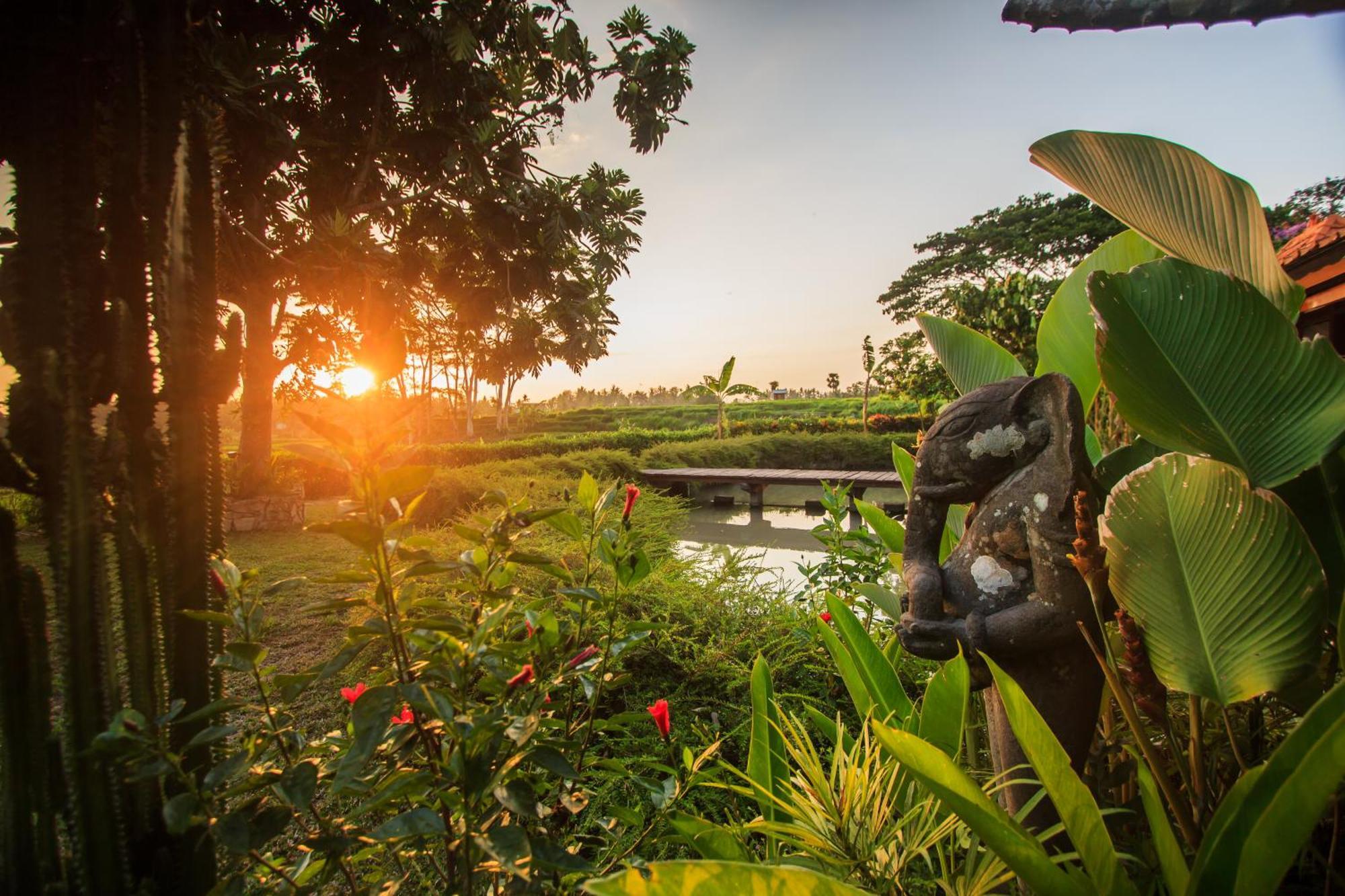 Griya Kcb Villa Ubud Esterno foto