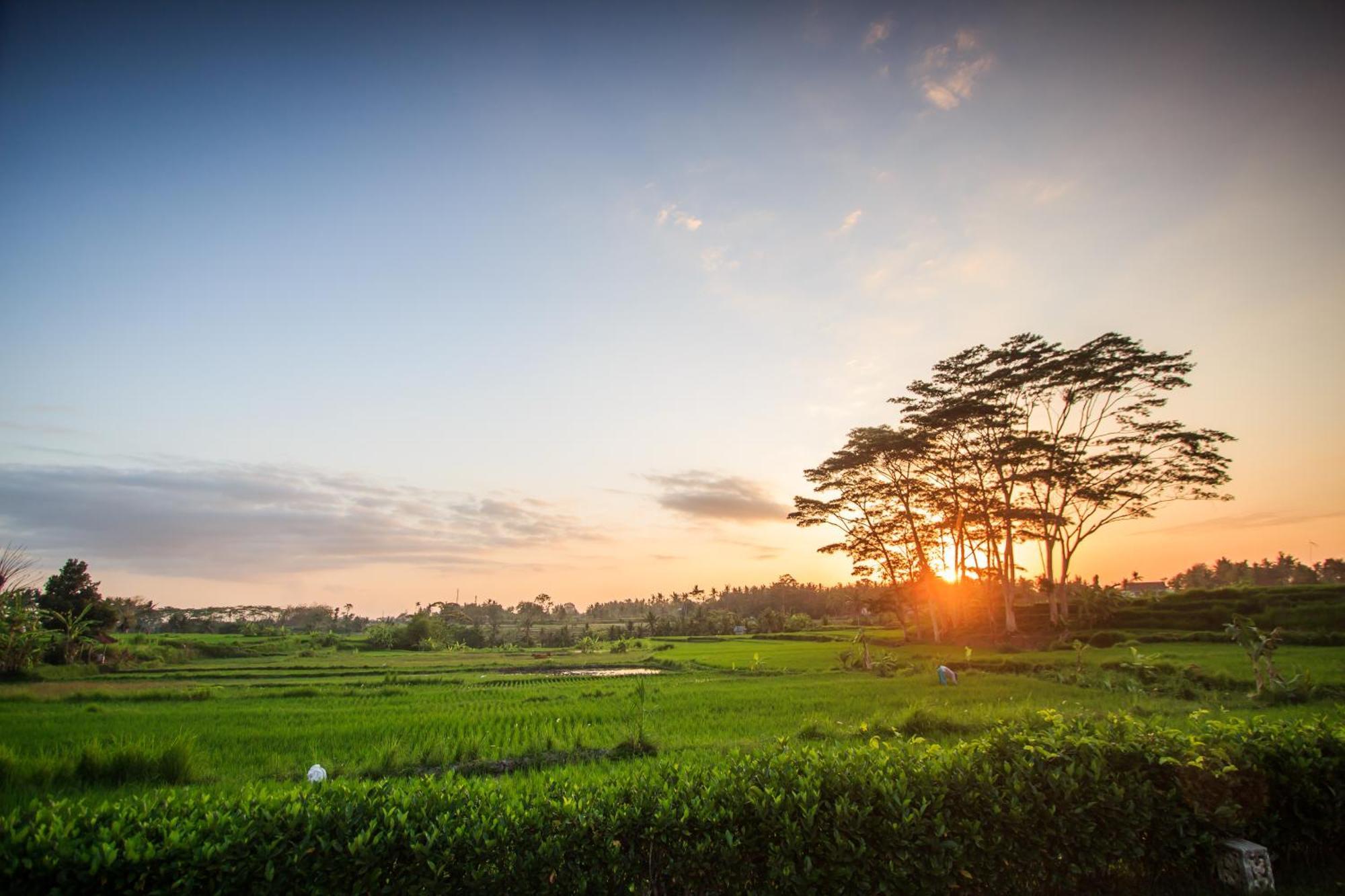 Griya Kcb Villa Ubud Esterno foto