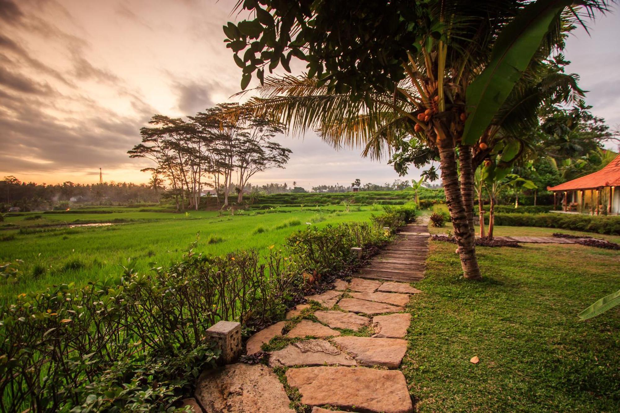 Griya Kcb Villa Ubud Esterno foto
