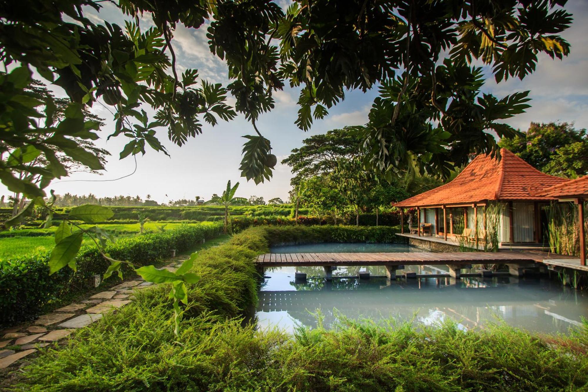 Griya Kcb Villa Ubud Esterno foto